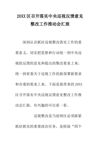 20XX区召开落实中央巡视反馈意见整改工作推进会汇报