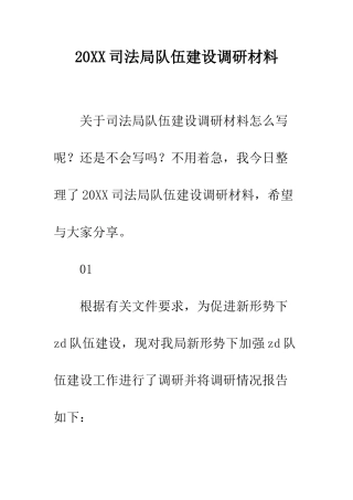 20XX司法局队伍建设调研材料