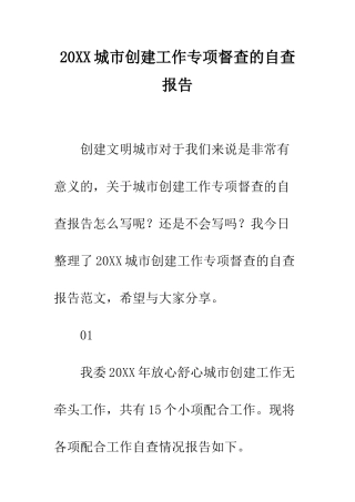 20XX城市创建工作专项督查的自查报告