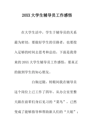 20XX大学生辅导员工作感悟