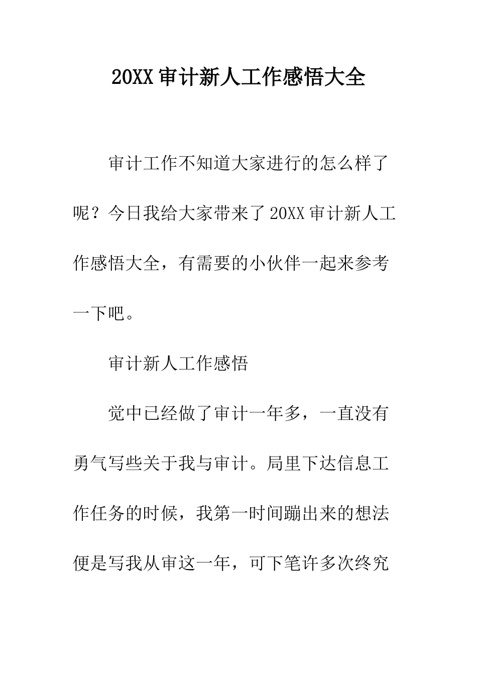 20XX审计新人工作感悟大全_第1页