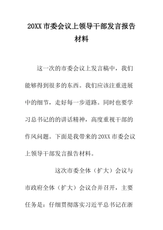 20XX市委会议上领导干部发言报告材料