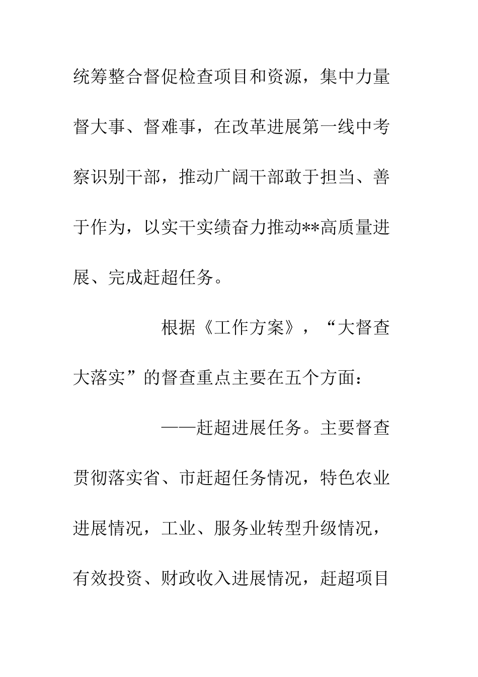 20XX市新时代新担当新作为“大督查大落实”工作方案_第2页