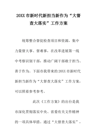20XX市新时代新担当新作为“大督查大落实”工作方案