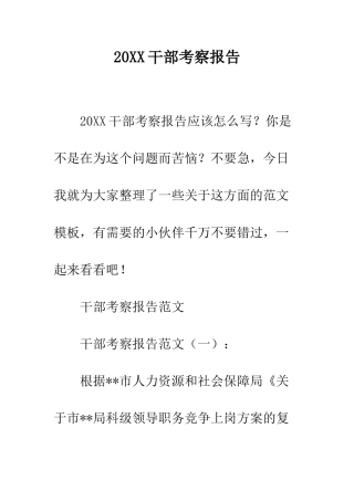 20XX干部考察报告