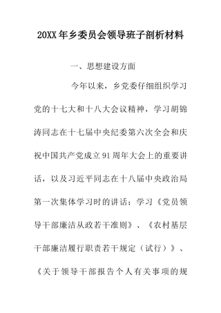20XX年乡委员会领导班子剖析材料