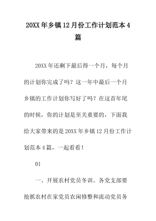20XX年乡镇12月份工作计划范本4篇