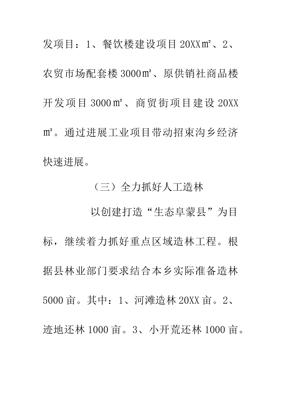 20XX年乡镇工作实施计划_第3页