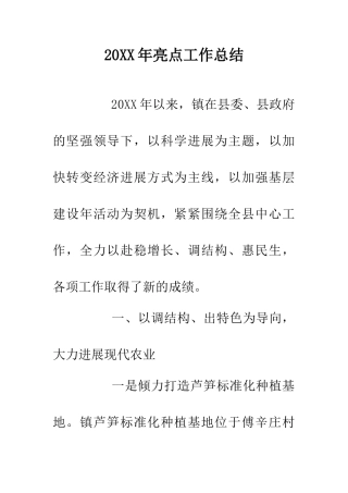 20XX年亮点工作总结