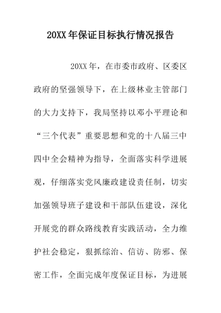 20XX年保证目标执行情况报告