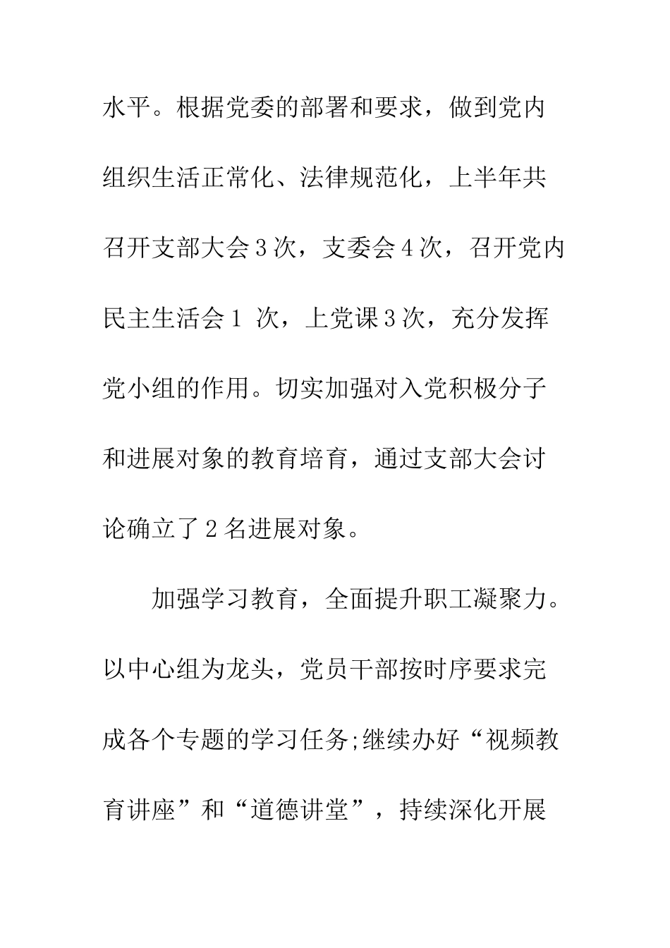 20XX年党支部上半年党建工作总结报告及下半年工作计划_第3页