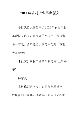 20XX年农村产业革命振文