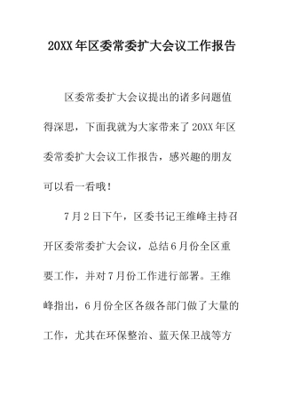 20XX年区委常委扩大会议工作报告