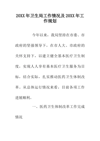 20XX年卫生局工作情况及20XX年工作规划
