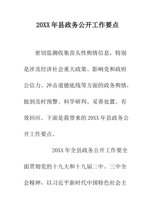 20XX年县政务公开工作要点