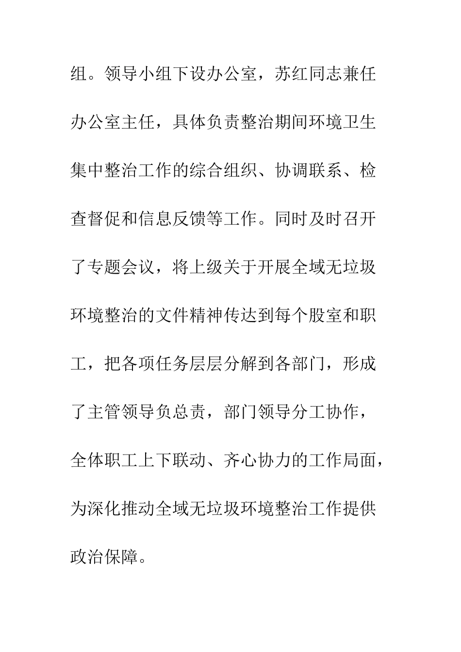 20XX年城乡环境卫生整洁行动自查报告_第3页