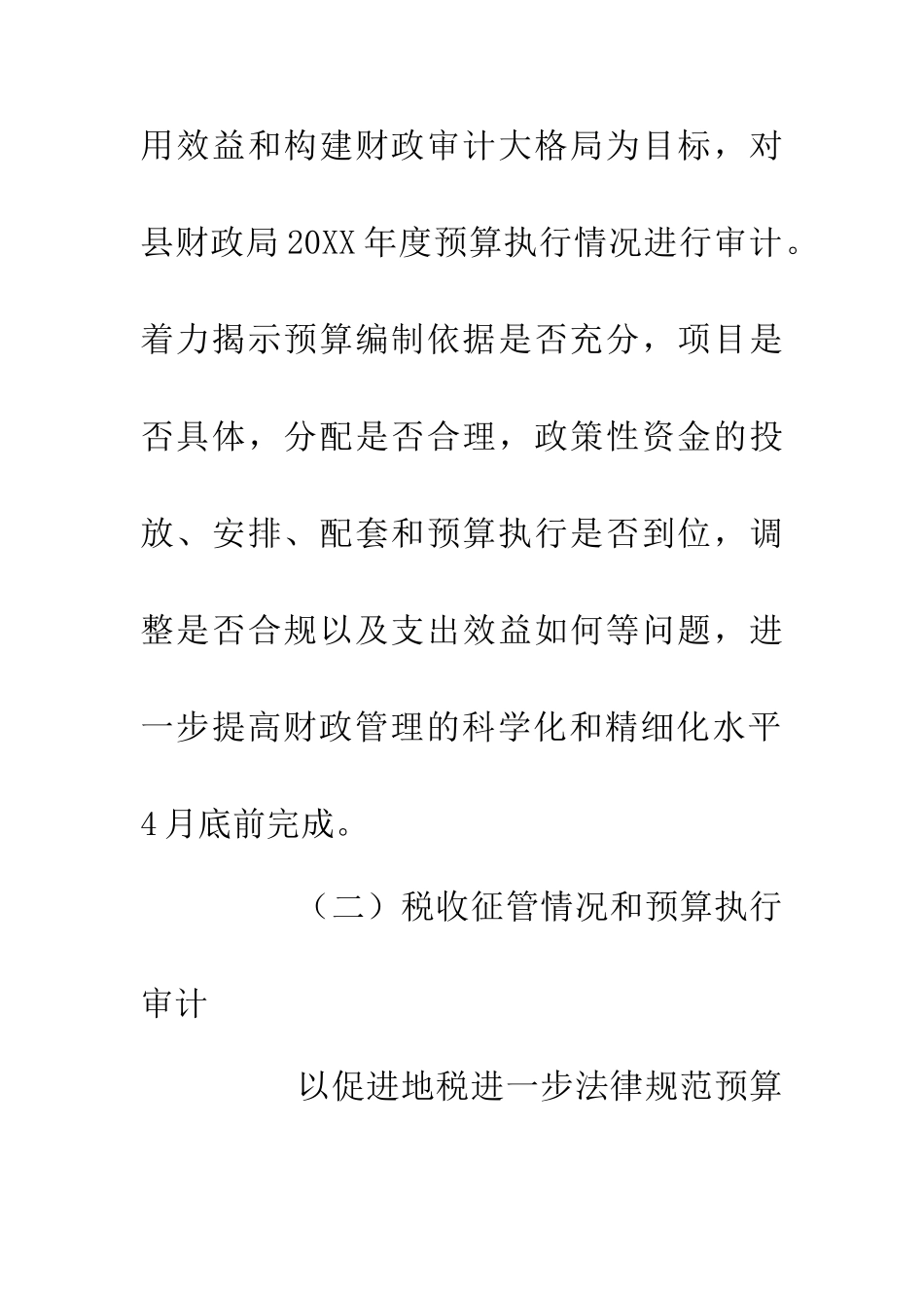 20XX年审计项目工作计划_第2页