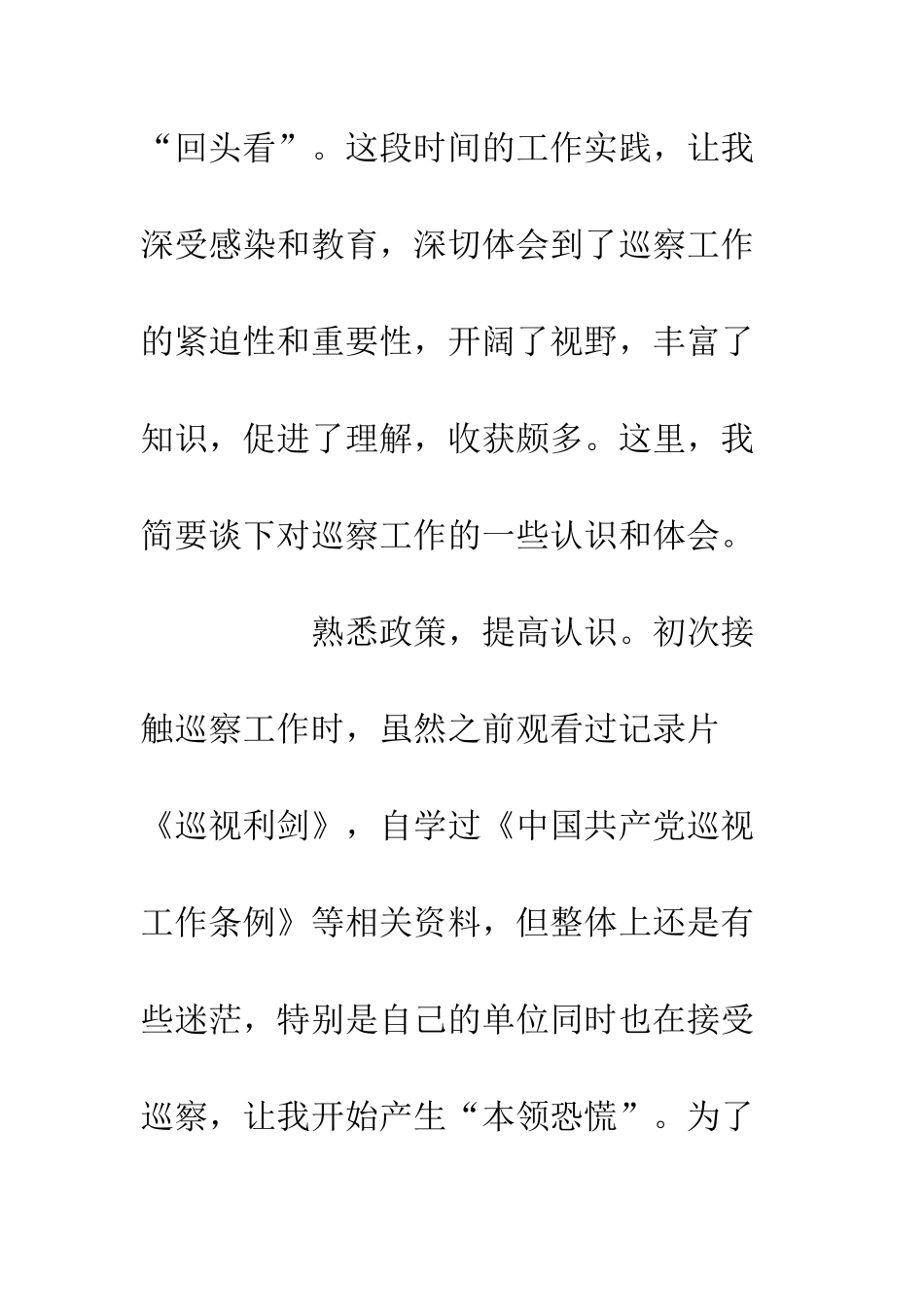 20XX年巡察工作总结_第2页