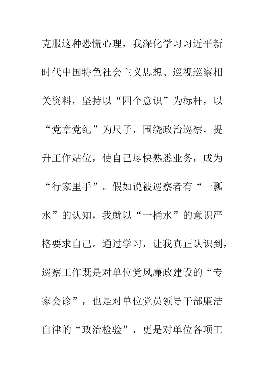20XX年巡察工作总结_第3页