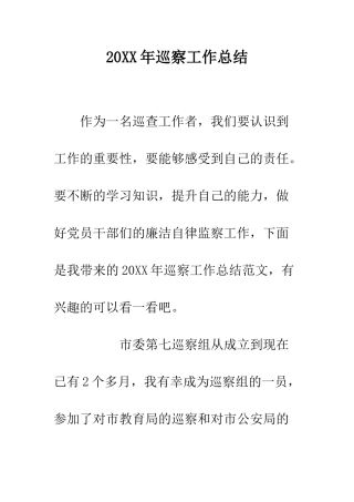 20XX年巡察工作总结