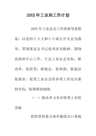 20XX年工业局工作计划