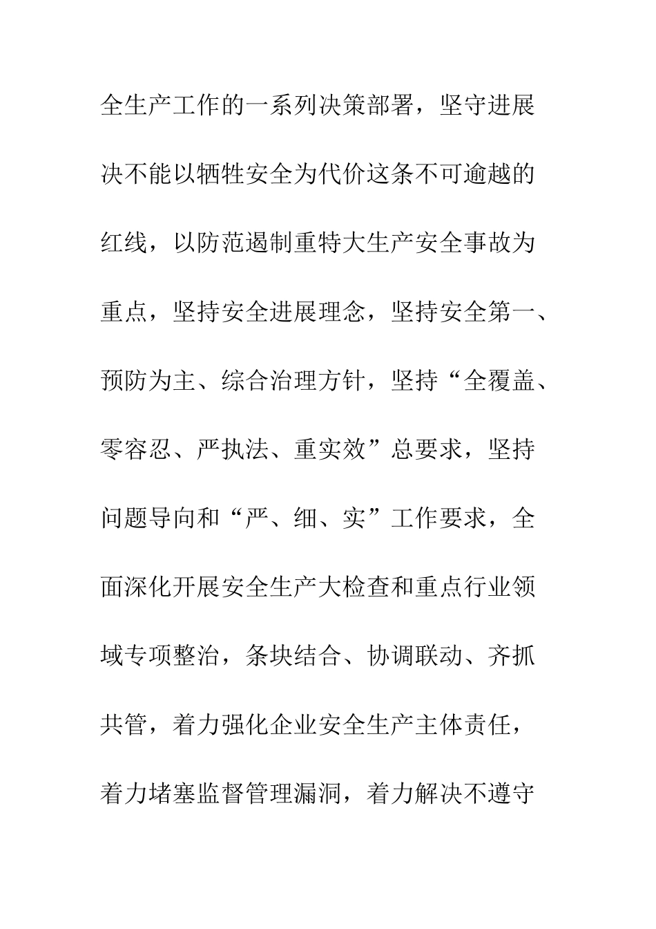 20XX年度春节期间开展安全生产“六项行动”工作方案_第3页