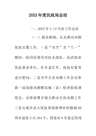 20XX年度民政局总结