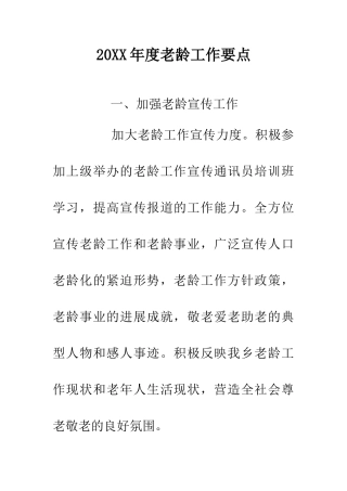 20XX年度老龄工作要点