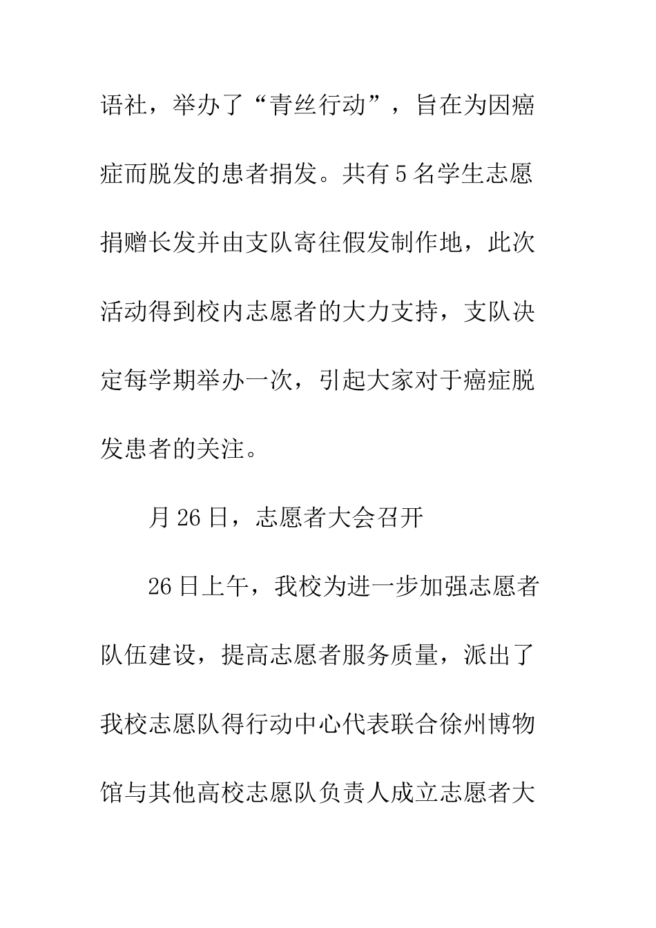 20XX年志愿队工作总结_第3页