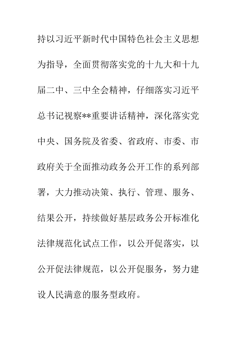 20XX年政务公开工作要点报告_第2页