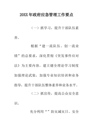 20XX年政府应急管理工作要点
