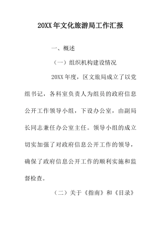 20XX年文化旅游局工作汇报