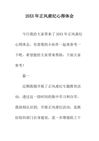 20XX年正风肃纪心得体会