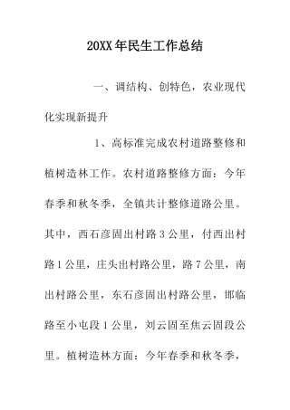 20XX年民生工作总结