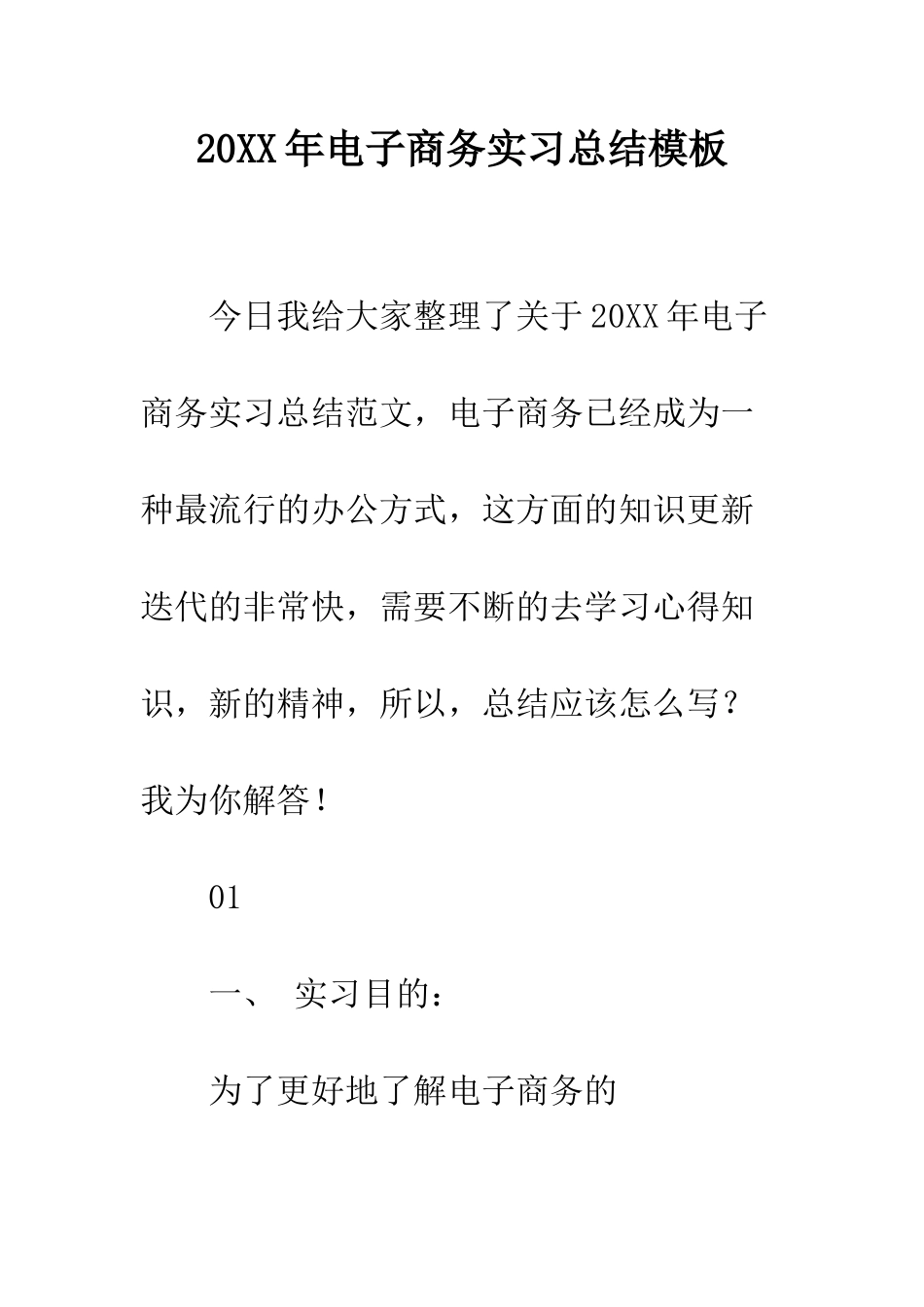 20XX年电子商务实习总结模板_第1页