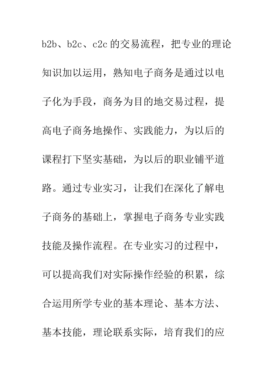 20XX年电子商务实习总结模板_第2页