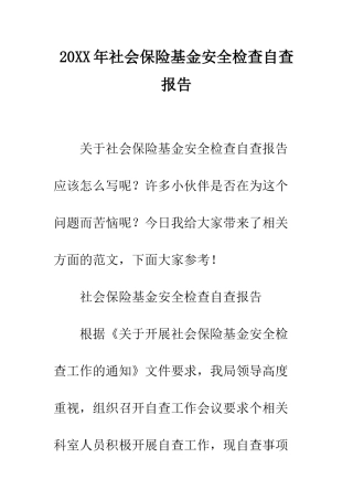 20XX年社会保险基金安全检查自查报告