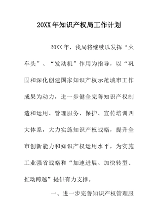 20XX年知识产权局工作计划