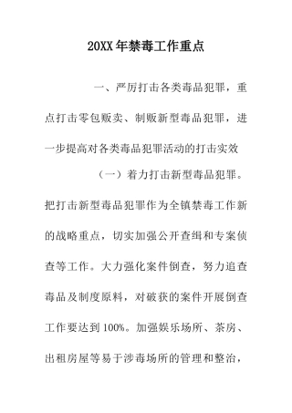 20XX年禁毒工作重点