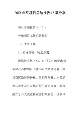 20XX年终项目总结报告15篇分享