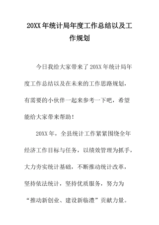 20XX年统计局年度工作总结以及工作规划