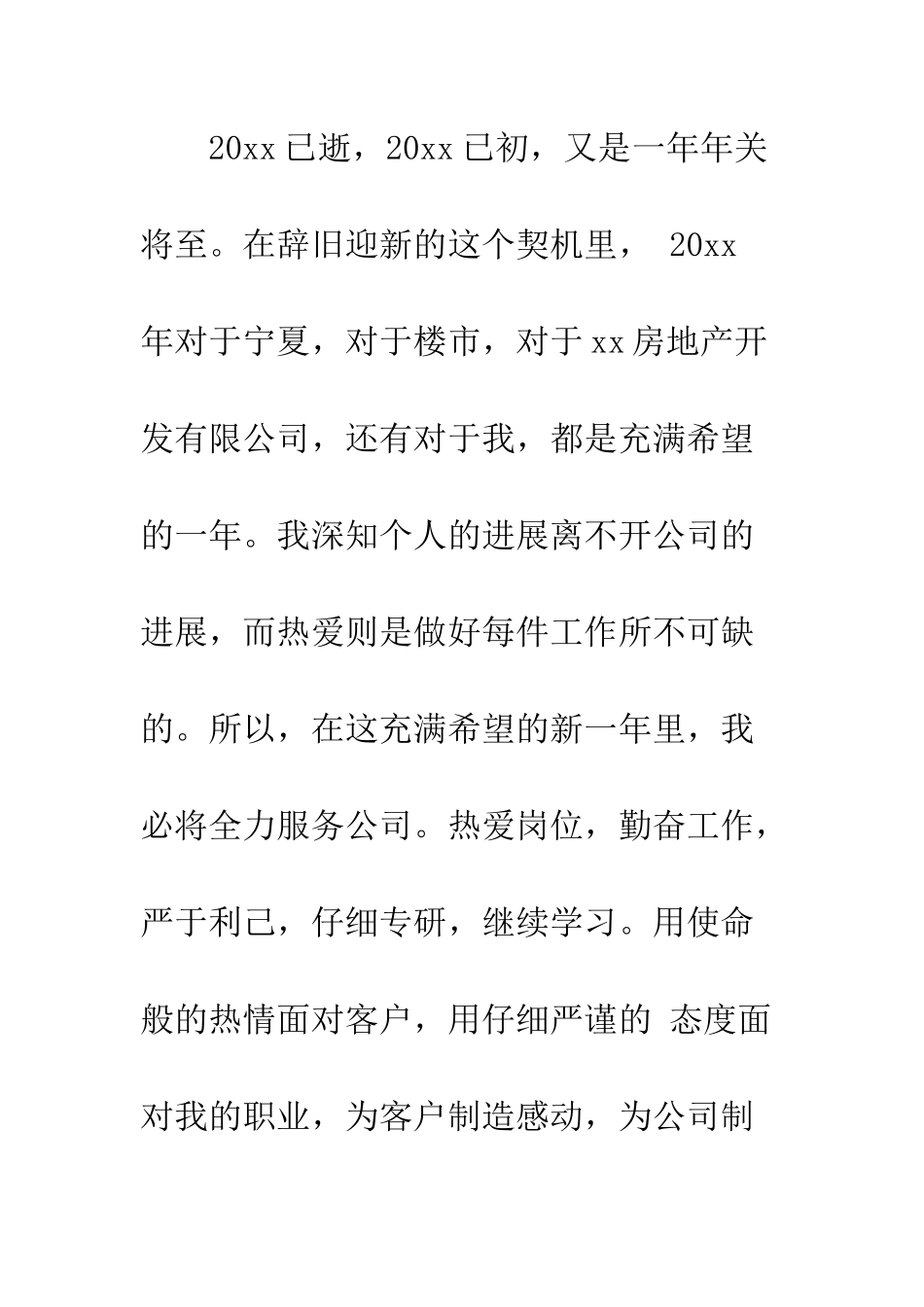 20XX年置业顾问工作总结_第2页