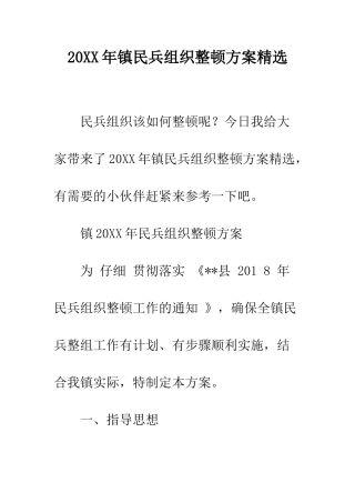 20XX年镇民兵组织整顿方案精选