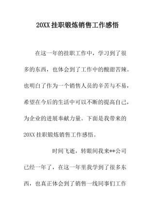 20XX挂职锻炼销售工作感悟