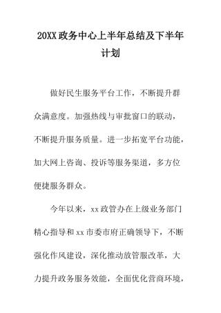 20XX政务中心上半年总结及下半年计划