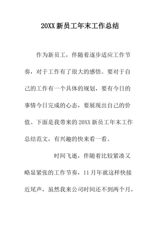 20XX新员工年末工作总结