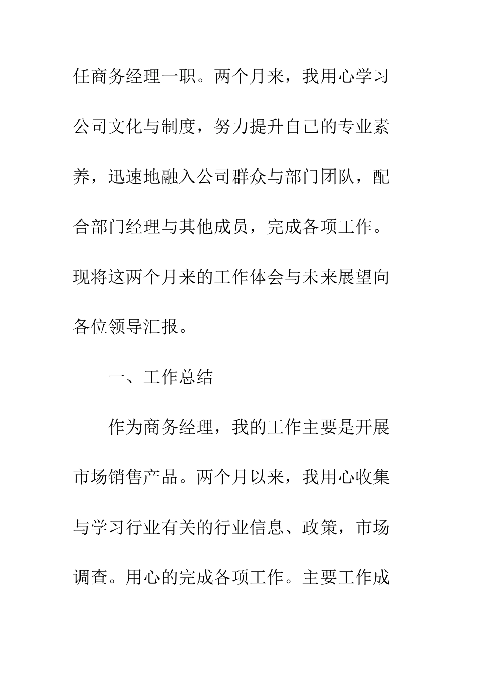 20XX新年工作展望_第2页