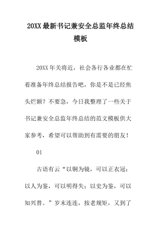 20XX最新书记兼安全总监年终总结模板