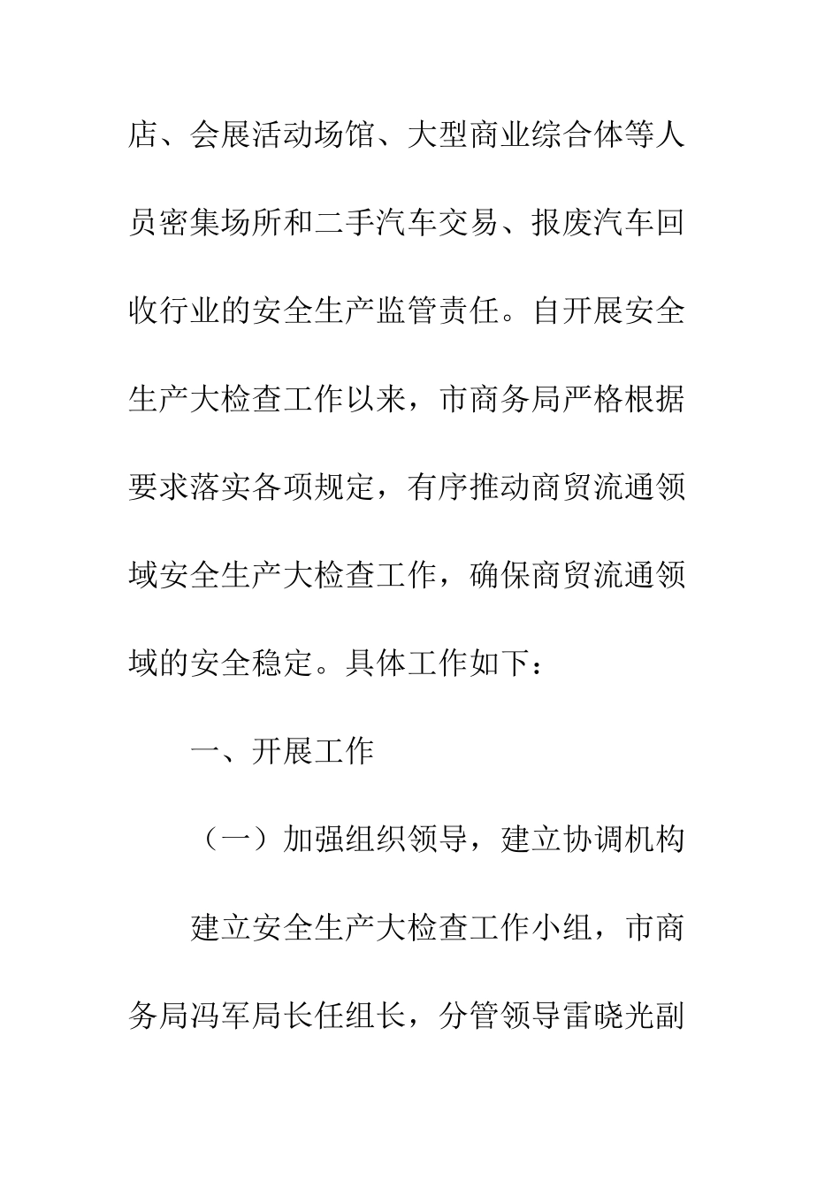 20XX最新商贸流通领域安全生产大检查工作总结模板大全_第2页