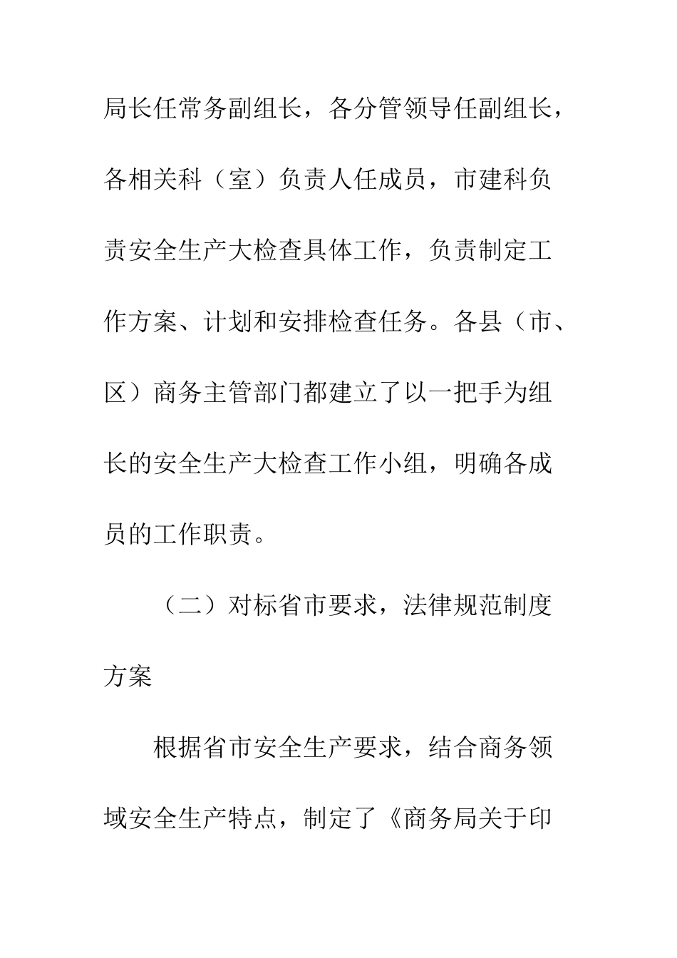 20XX最新商贸流通领域安全生产大检查工作总结模板大全_第3页
